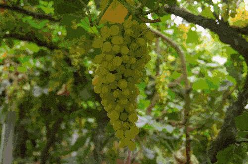 潮享玩昆明,昆明潮玩集合