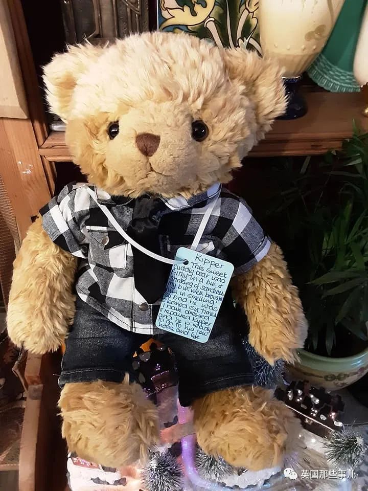 她治好12500只泰迪熊，用毛绒绒治愈自己和无数人…