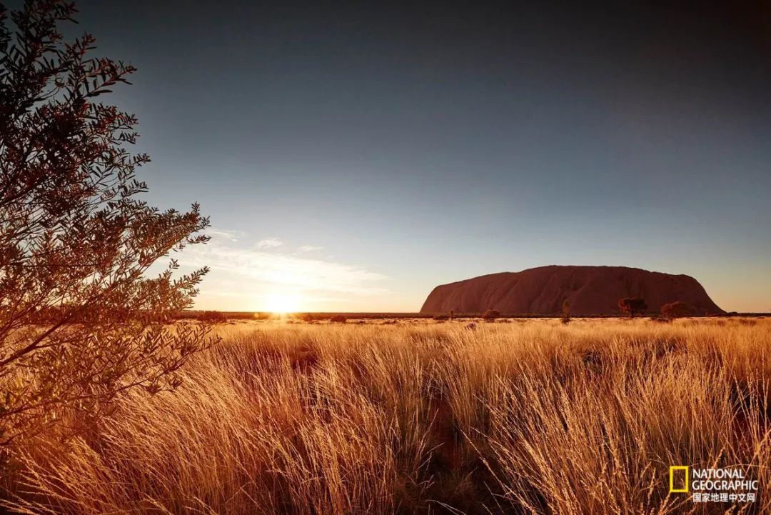 澳洲心脏病,澳大利亚心血管科发达吗