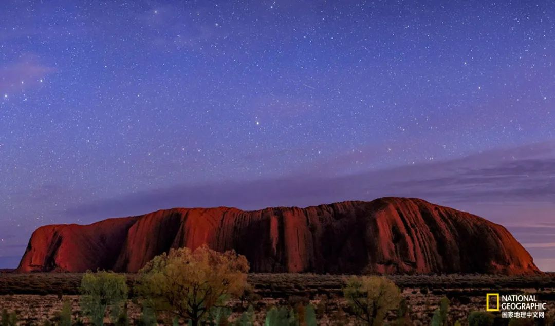 澳洲心脏病,澳大利亚心血管科发达吗