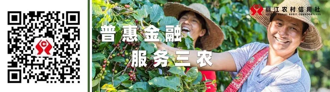 大理滇中引水工程招聘,云南滇中引水工程招聘信息