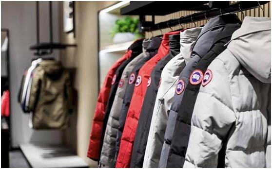 怎么花最少的钱买真大鹅,怎样才能买到真正的正宗的大鹅