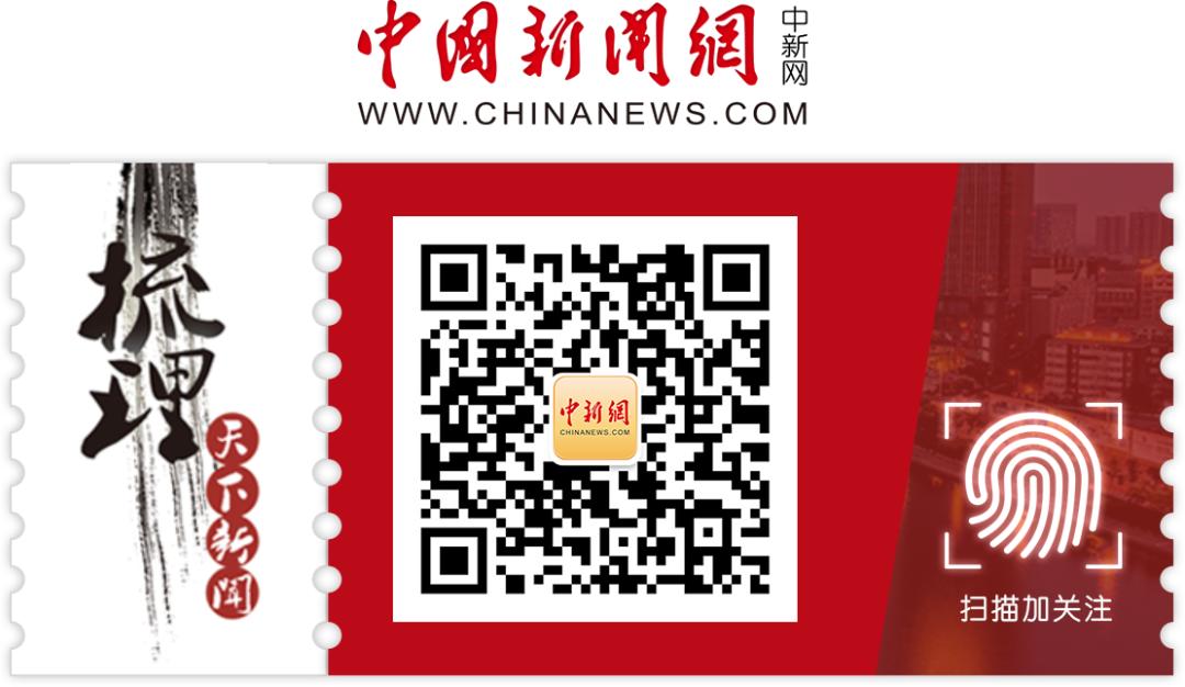 这几个公众号绝对值得你置顶,这几个公众号值得你每晚细细品读