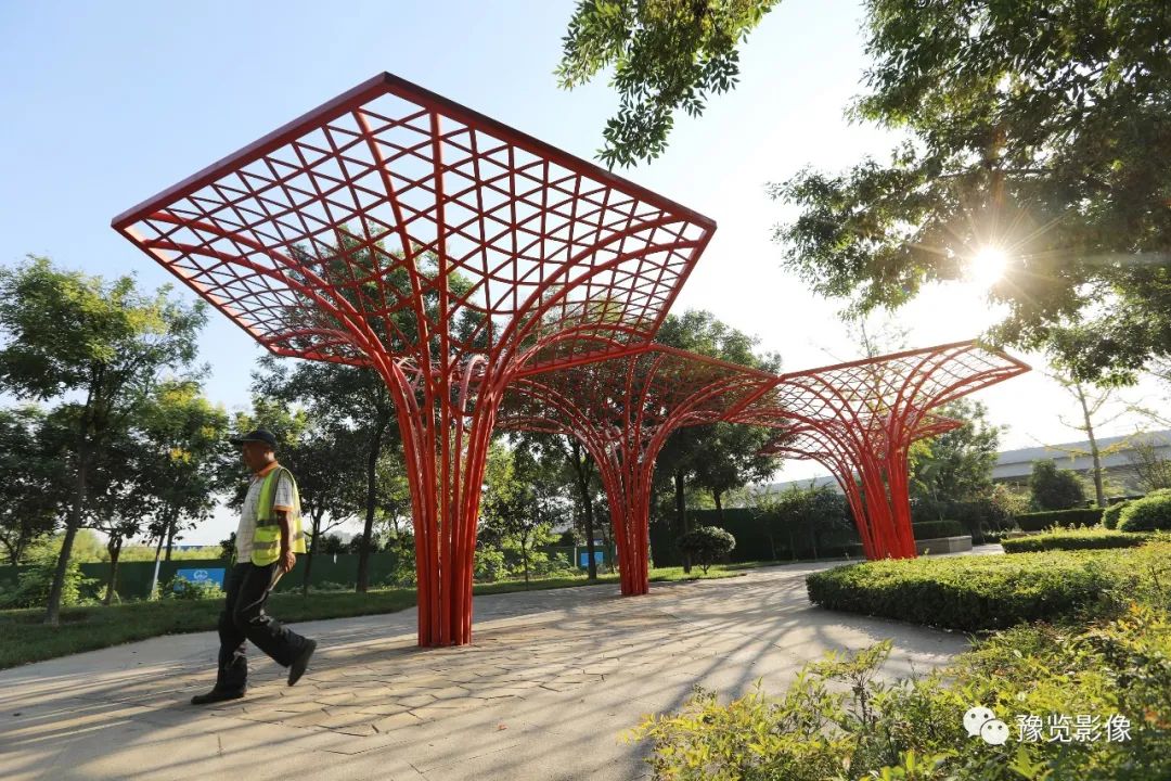 在郑州，遇见美好——刘絮|影像纪年2020（38）