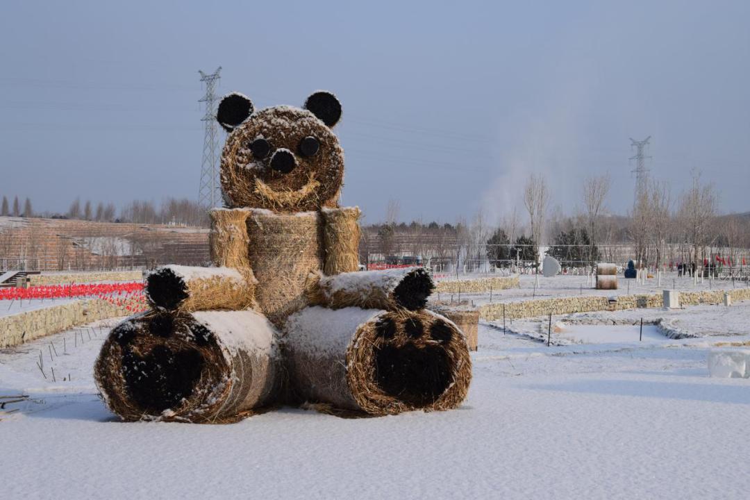 春节不打烊随心玩,内蒙古就地过年