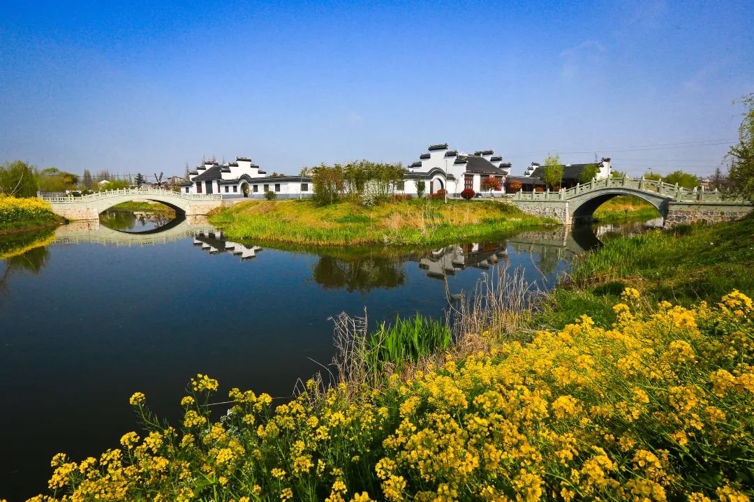 带你看盐城风景,牛年看牛展2021新春展等你来打卡