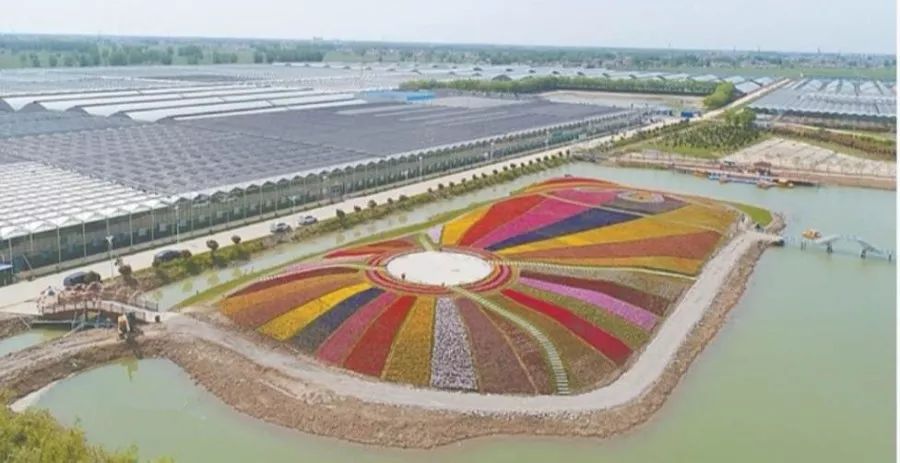 带你看盐城风景,牛年看牛展2021新春展等你来打卡