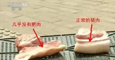 今天直降600！用TA处理食材，再也不怕农残、瘦肉精、添加剂了→