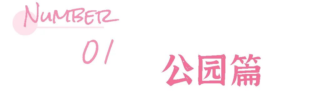 南宁赏花2022,赏花攻略南宁