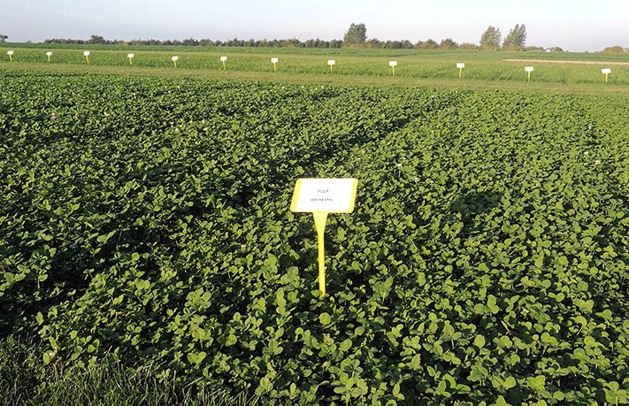 全球十强农业公司名单排名,全球百强企业排行