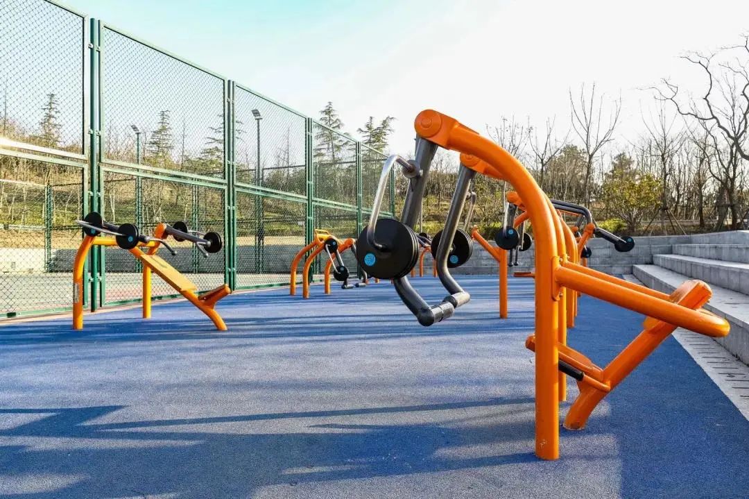 体育公园真人秀,网红体育公园