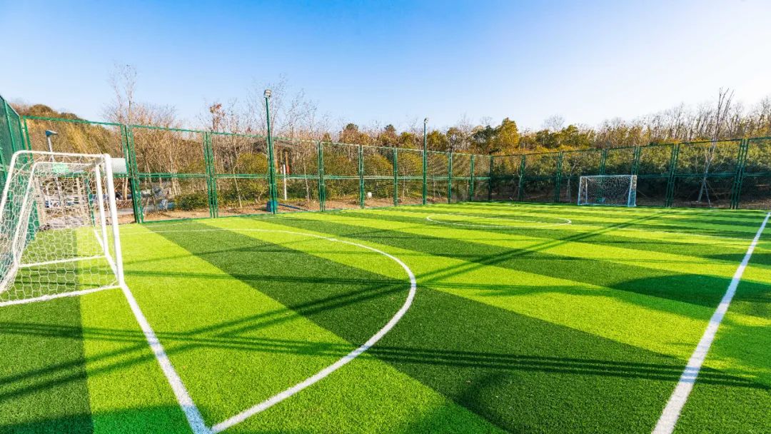 体育公园真人秀,网红体育公园