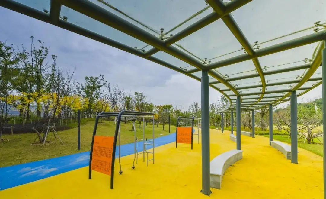 体育公园真人秀,网红体育公园