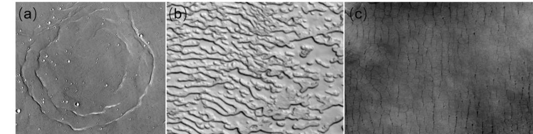 天问少年逐梦未来,天问逐梦进博会