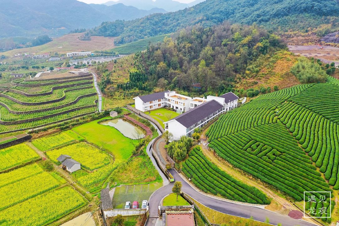 瀵诲勾鍛宠繋榫欏勾鎵撳崱娲诲姩,瀵诲勾鍛冲搧骞村懗鎰熷彈