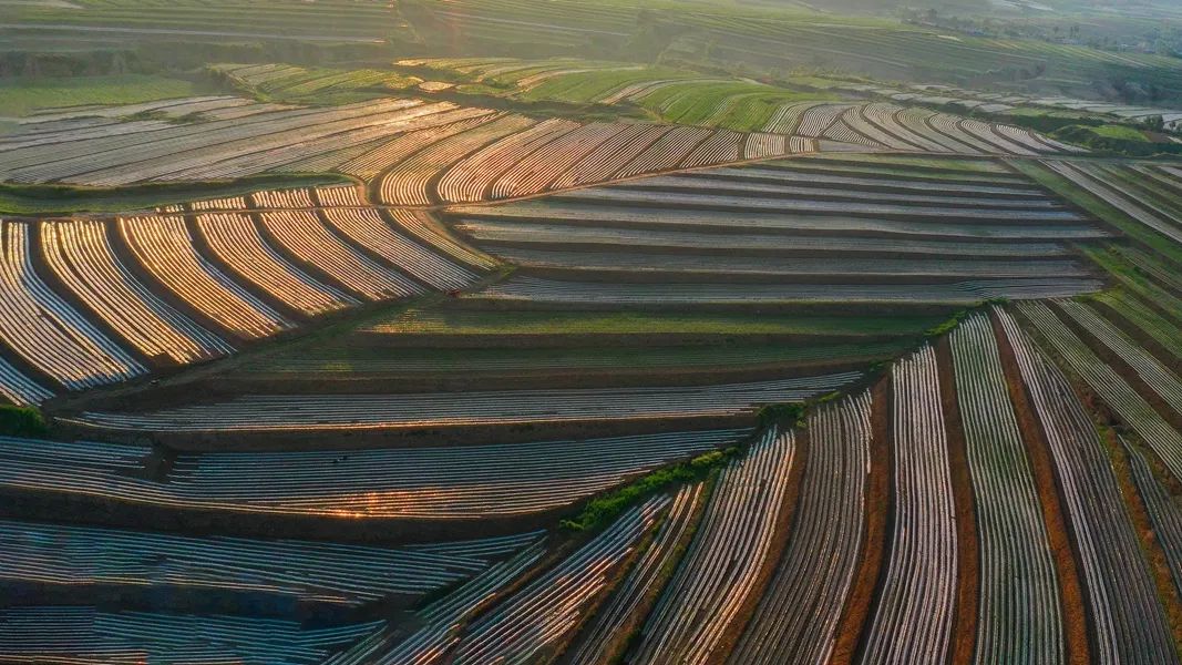 鍙や粖杈夋槧瀹屾暣瑙嗛,鍙や粖浜ょ浉杈夋槧