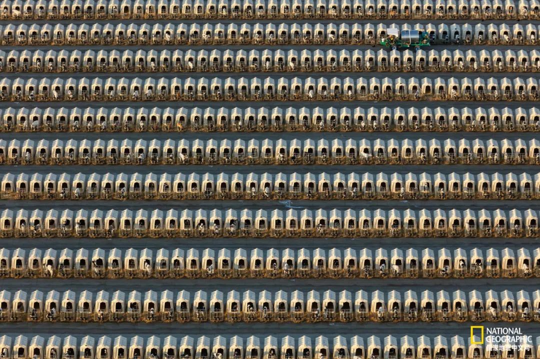 如果你是上帝,现在你是上帝2