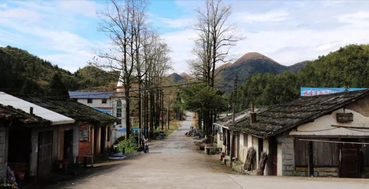 打卡好西乡！桃花胜*光春**，佳人已成双