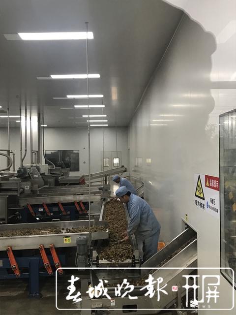 云南白药健之佳,云南白药合作基地