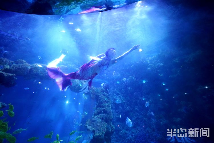 半岛聚焦丨今天我是你:女记者变身美人鱼,“变美”并不容易