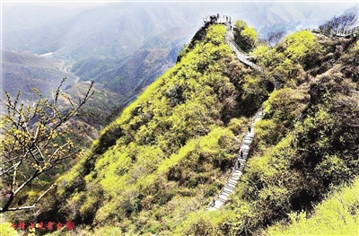 南阳赏花最佳地点,南阳市民赏花踏青乐享春日好时光