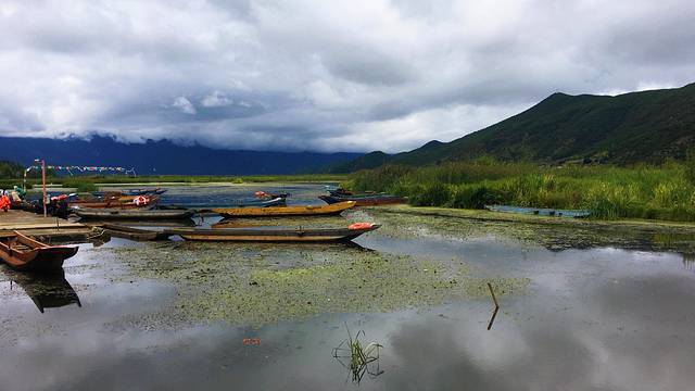 云南7日自由行最全攻略,云南8日自由行攻略