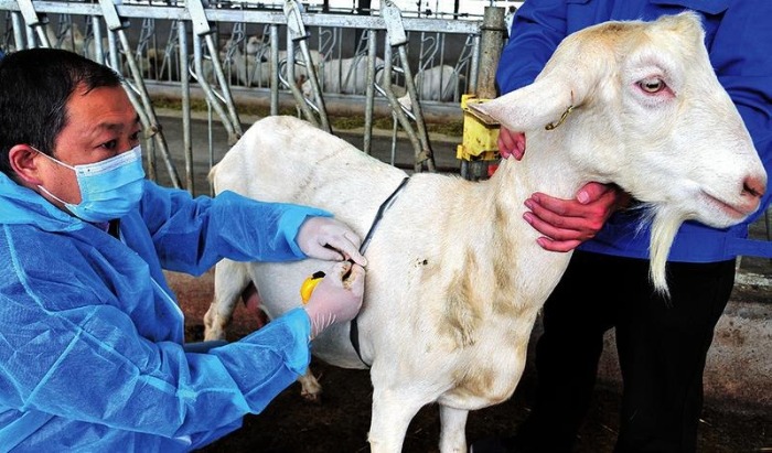 鍑′汉鏁呬簨澶у叏,鍑′汉鏁呬簨绯诲垪