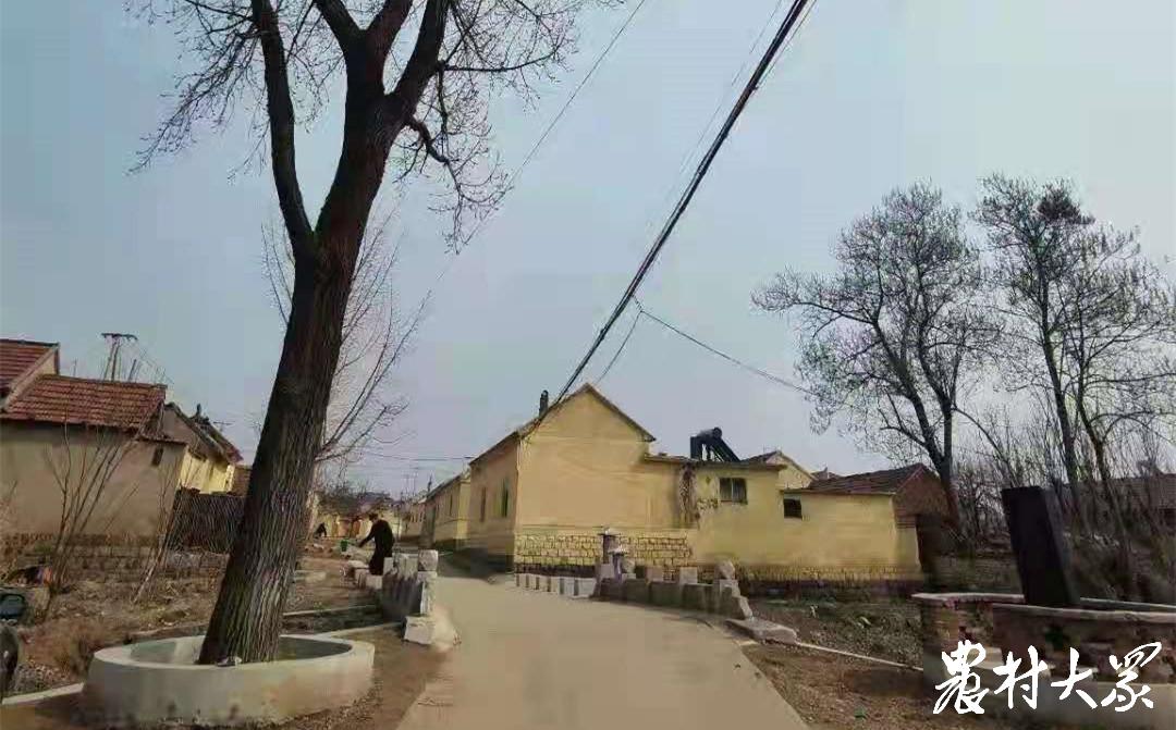 留古韵展新颜！这个省级文明村实现“古桥旁边扣篮足球石碾同转