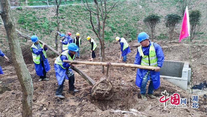 不负春光携手添新绿,不负春光植树造林