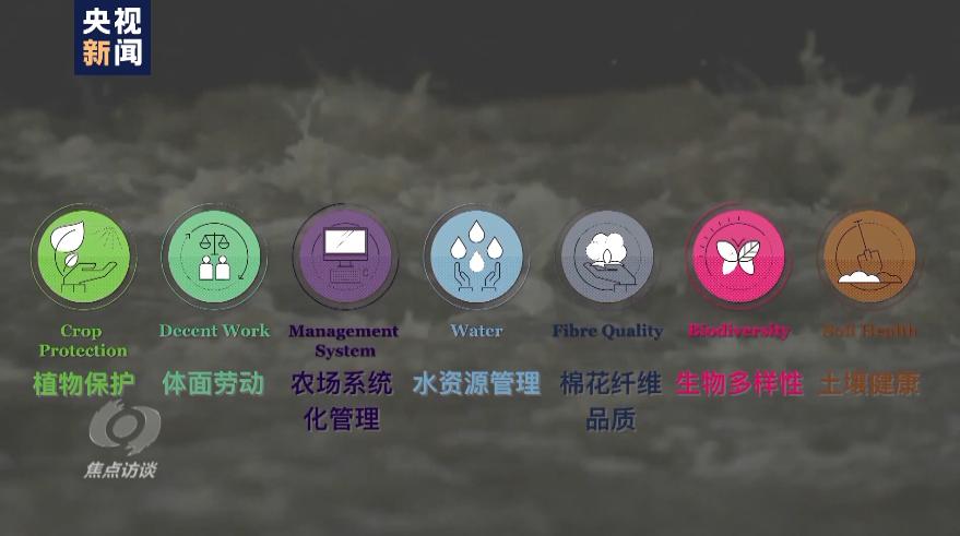 白棉花有假的吗,黑心棉被调查视频