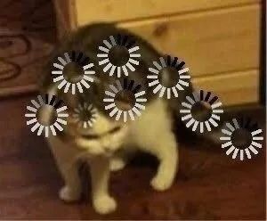 我去暗访偷偷考个研究生，看到底是哪种偷偷？