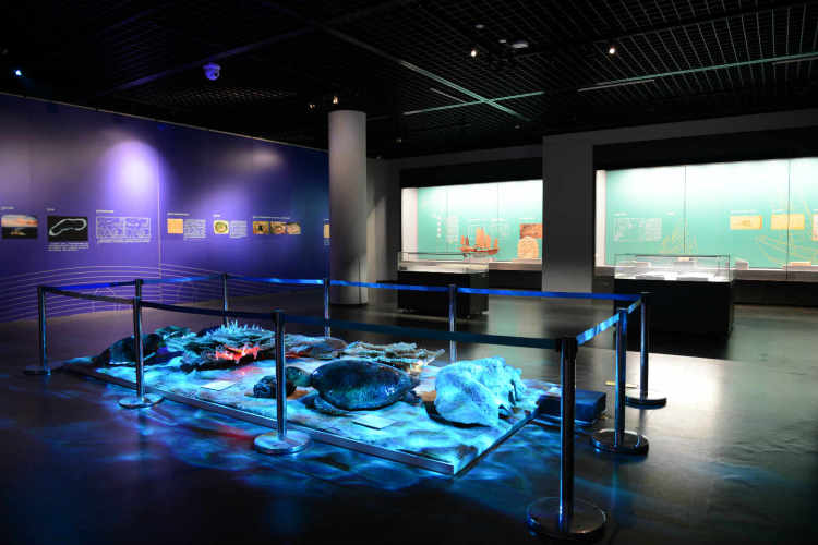 海南砗磲打捞,海南渔船沉没搜救视频