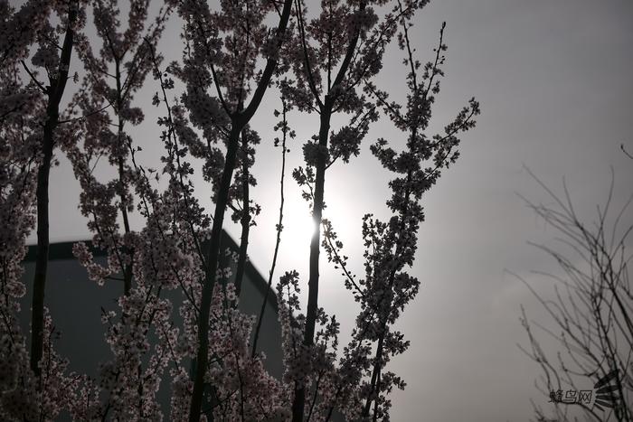 松下s5镜头70-300测评,松下lumixs70-300mm