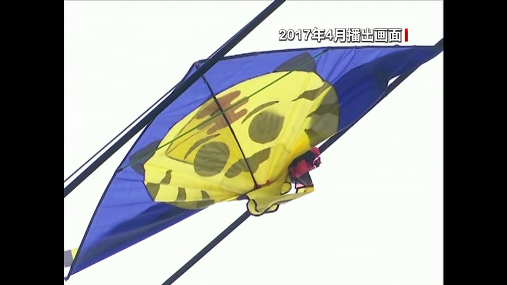 放风筝逼停列车,风筝逼停高铁