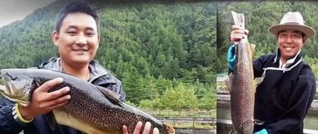 做孩子们的“圆梦人”!看上海师大、西安科大、青海师大的扶贫故事|教育脱贫攻坚微视频接力㉖