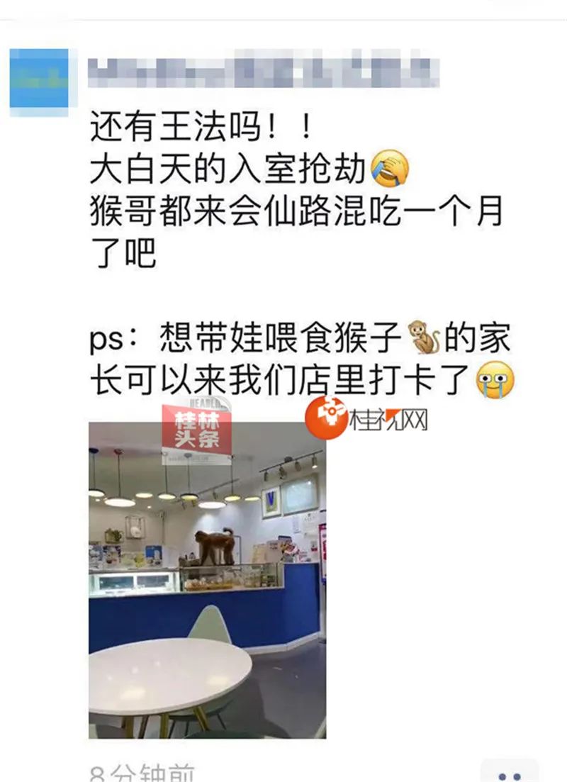 桂林某蛋糕店惊现“美猴王”，上演大白天“入室抢劫”