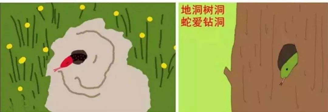 小心有蛇出没济南消防抓蛇解民忧,小心蛇