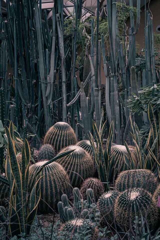 唐山带娃周末旅游攻略,唐山出发带娃两日游