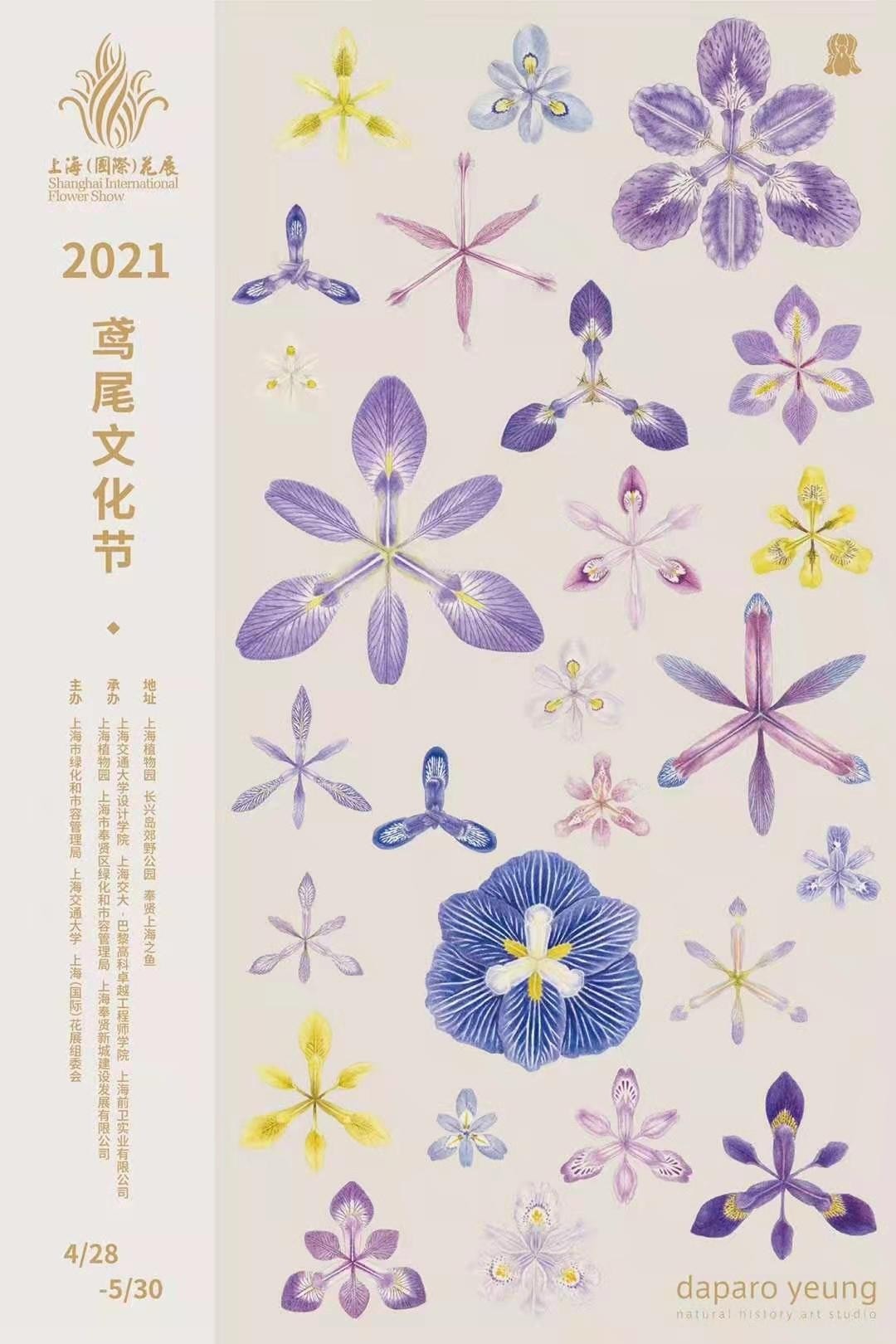 20万只风车组成花海艺术景观，2021鸢尾文化节在长兴岛郊野公园启幕