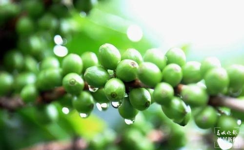 保山旅游攻略一日游景点,保山市旅游攻略一日游景点推荐