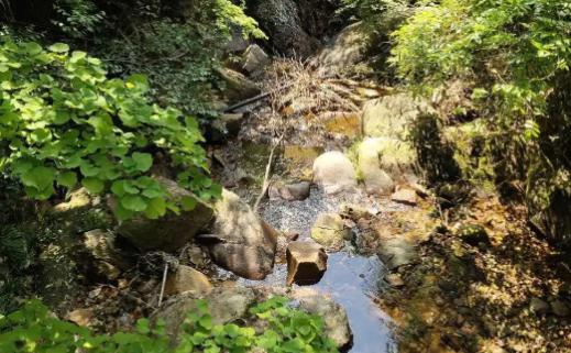 义乌美食及景点,义乌一日游必打卡美食