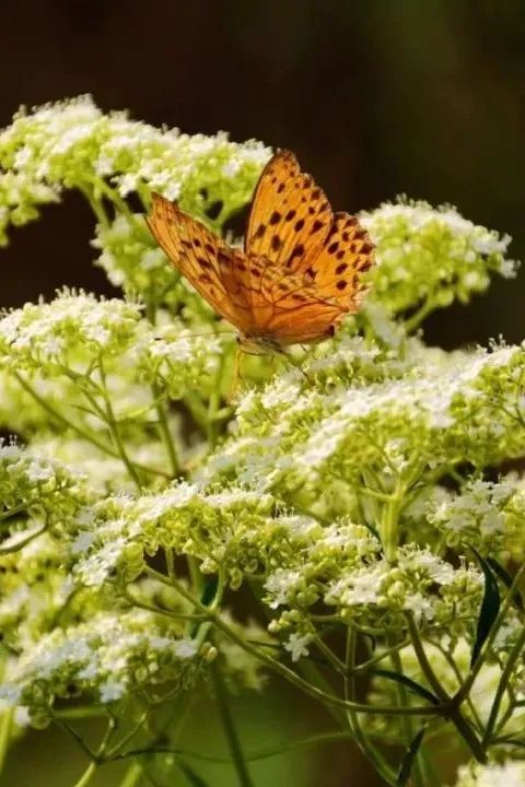 义乌美食及景点,义乌一日游必打卡美食