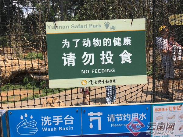 绿色文明游云南,云南文明旅游安全出行