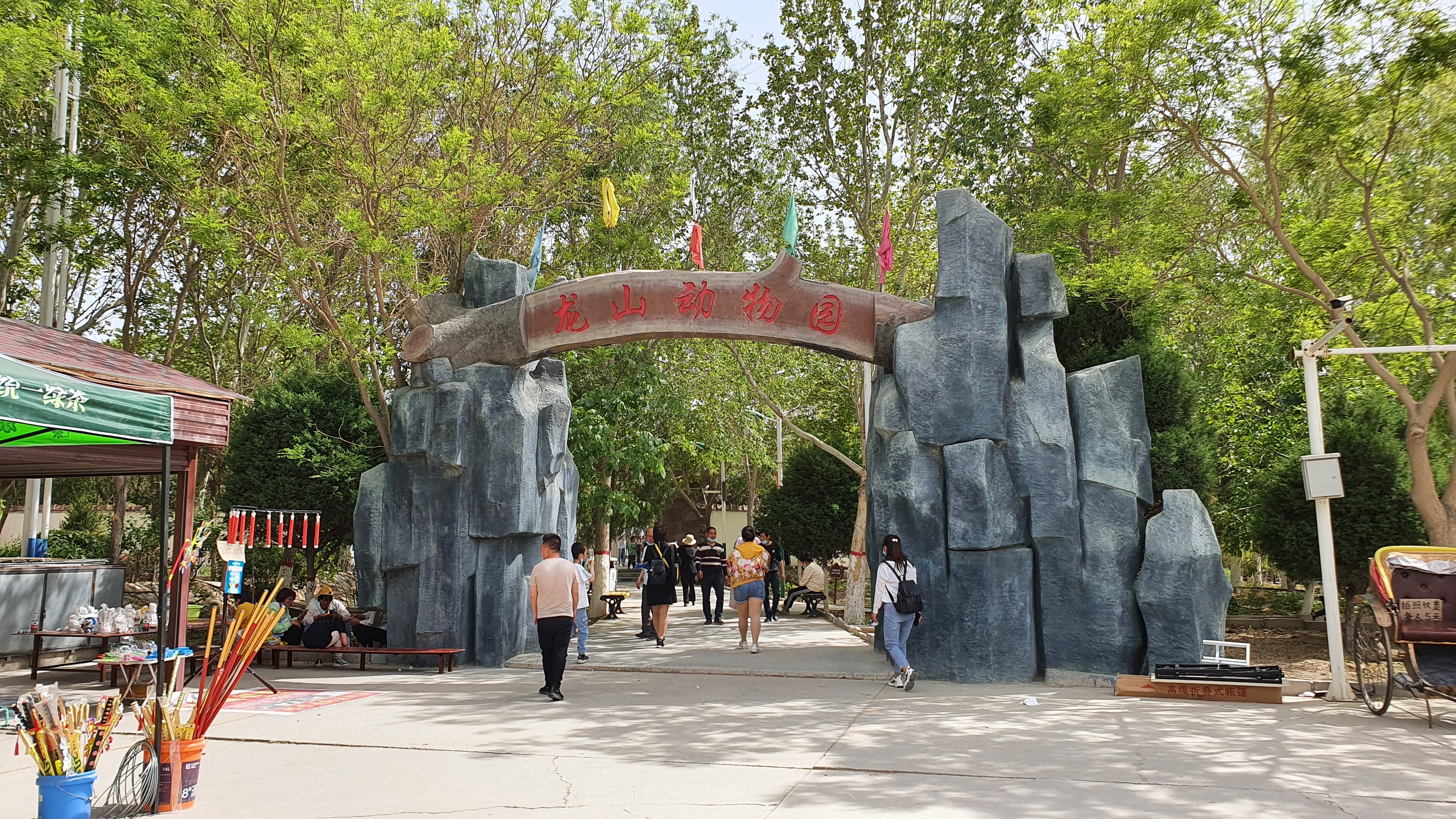 去龙山公园游玩日记100个字,龙山公园游玩视频