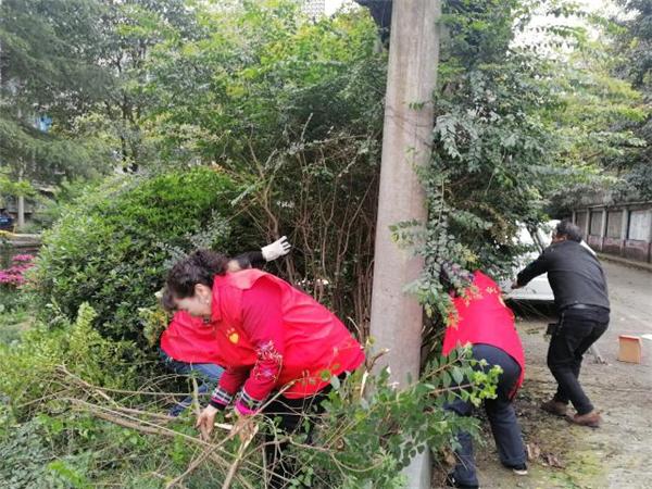 学党史讲抗疫故事,学好党史讲好抗疫故事观后感