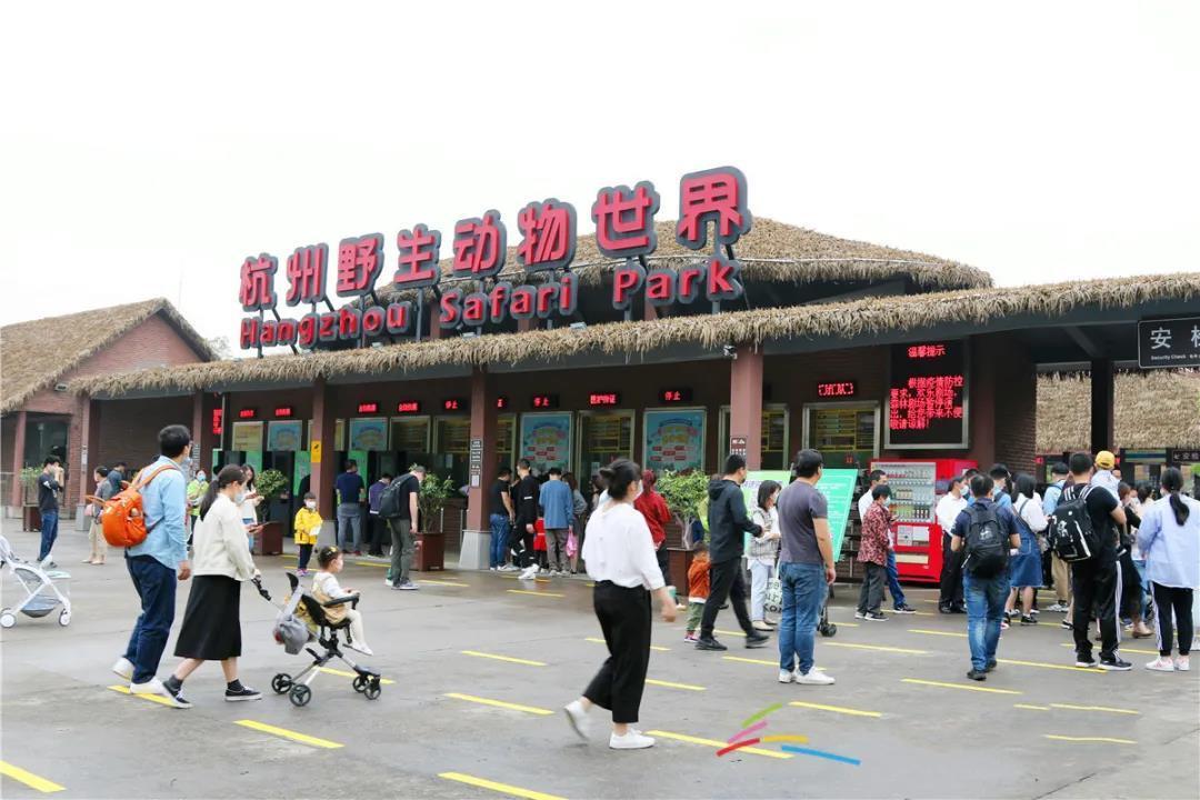 动物园豹子出逃什么罪,野生动物园出逃豹子