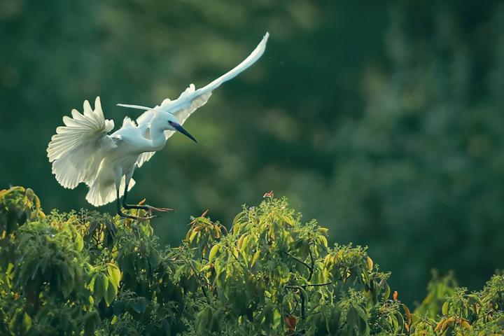 秀水泱泱红船依旧,秀水泱泱红船依旧全文