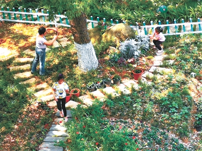 社区共治共建共享幸福邻里图片,常青藤社区改造