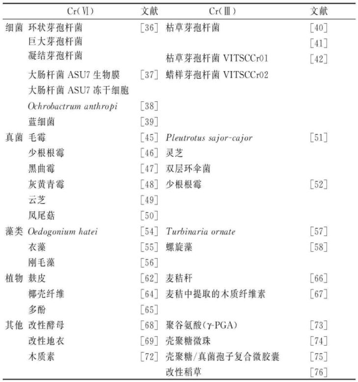 环保技术交流,生物技术交流展示