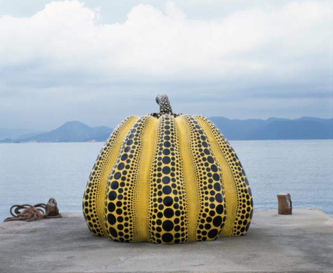 草间弥生本人,草间弥生个人简介